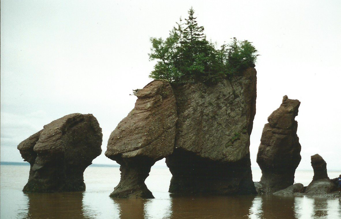 New Brunswick Rocks