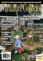 Miniature Collector Mag
